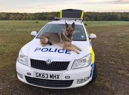 After A  Quick Response From Police In East Kent, Two Suspected Catalytic Converter Thieves Were Apprehended