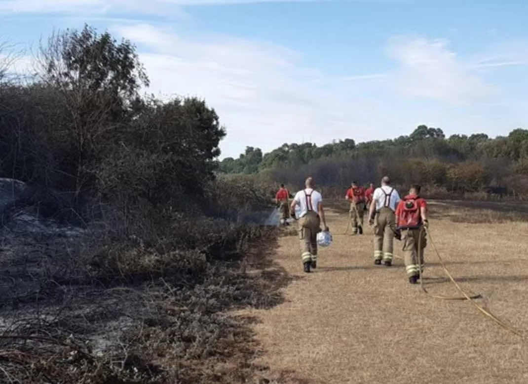 Over the weekend, firefighters battled a number of grass fires in and around London â€“ (ID 529410)