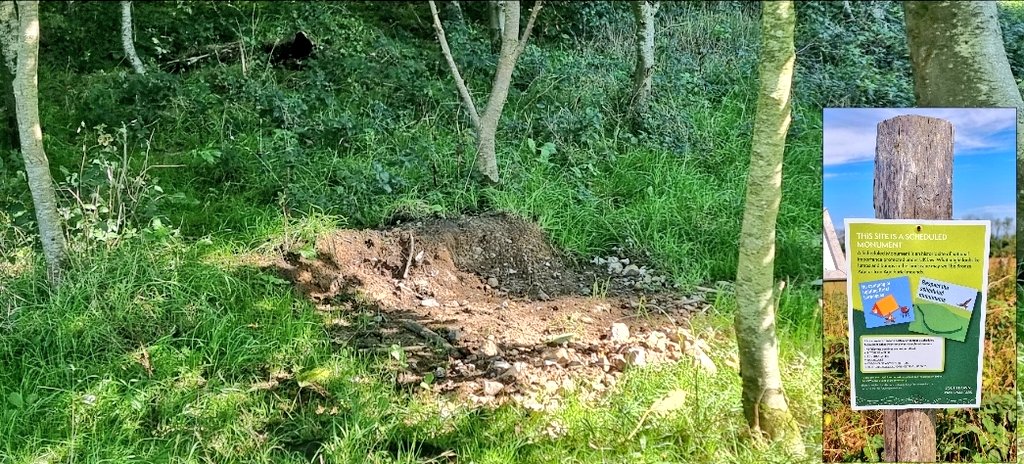 Unexplained Ground Disturbance At Chanctonbury Ring