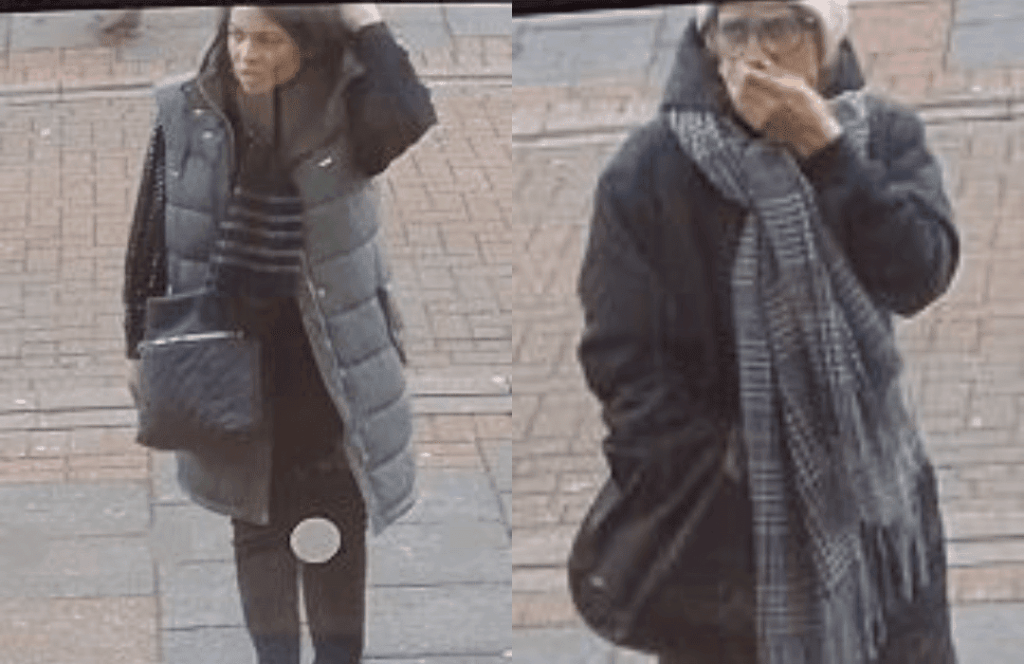Identity Appeal: Theft Of Almost £2,000 From A 77-year-old Woman