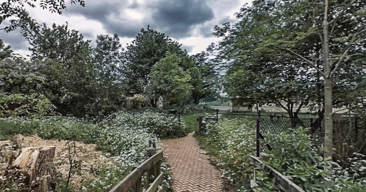 Detectives Investigating The Death Of A Man In Chingford Have Charged Two People With His Murder