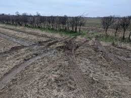 Three Men Have Been Fined For Poaching After Being Caught On Private Land With Nine Dogs In Sheppey