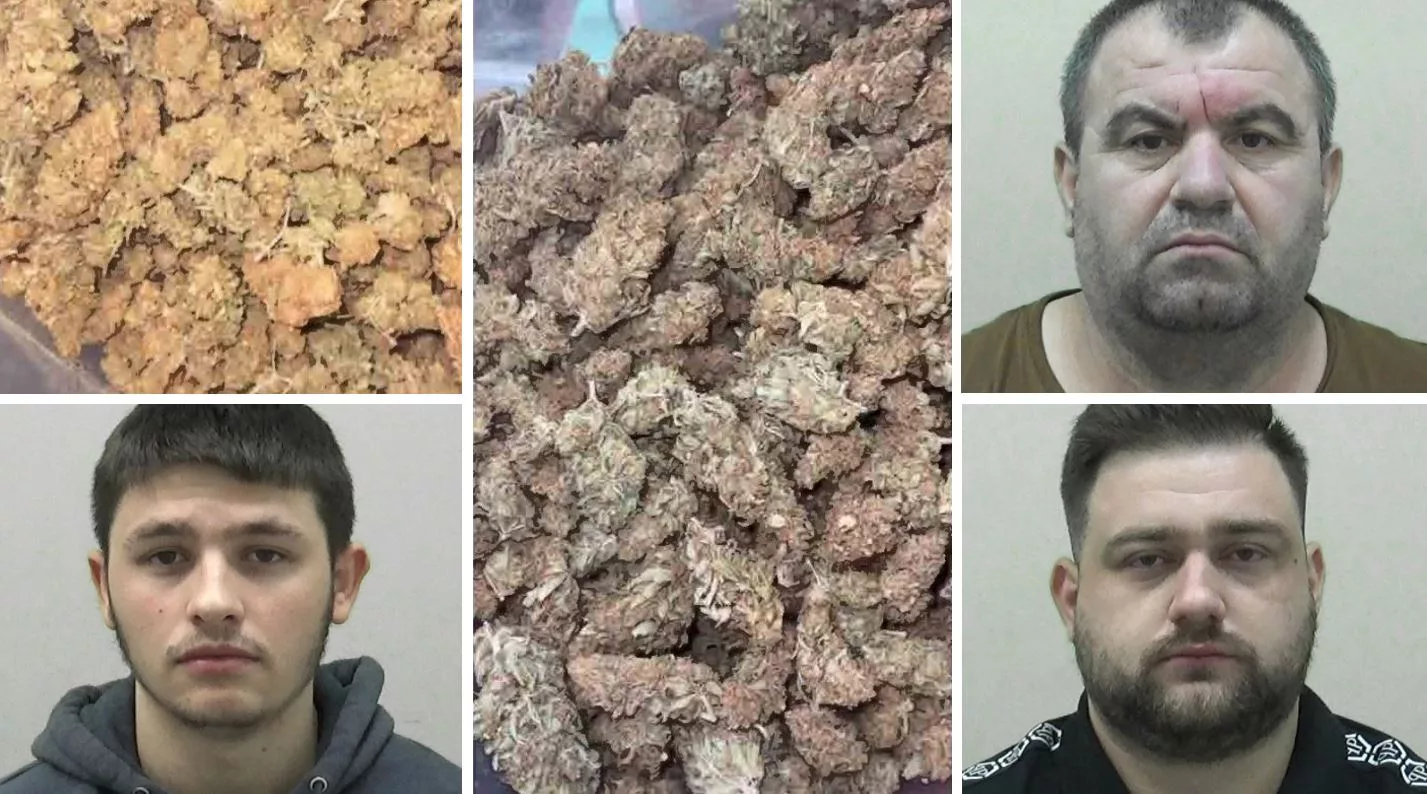 Cannabis Farmers Caught Live Streaming Their Industrial Unit Stocked With More Than Â£800,000 Worth Of Drugs Have Been Jailed