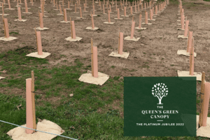 New Trees To Benefit Community, Wildlife And Environment In The Lower Otter