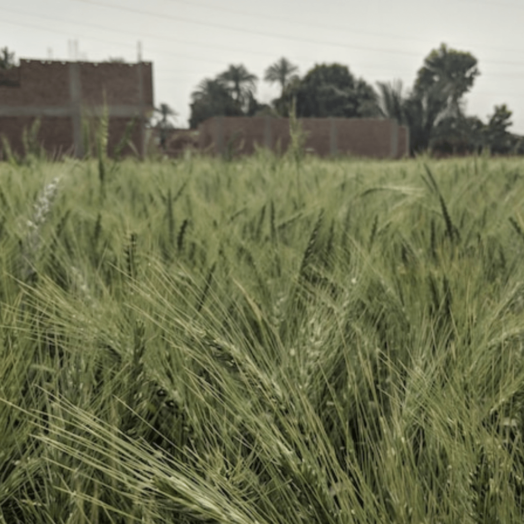 Israeli Military Raid In Tulkarem Refugee Camp Leaves Two Palestinians Dead