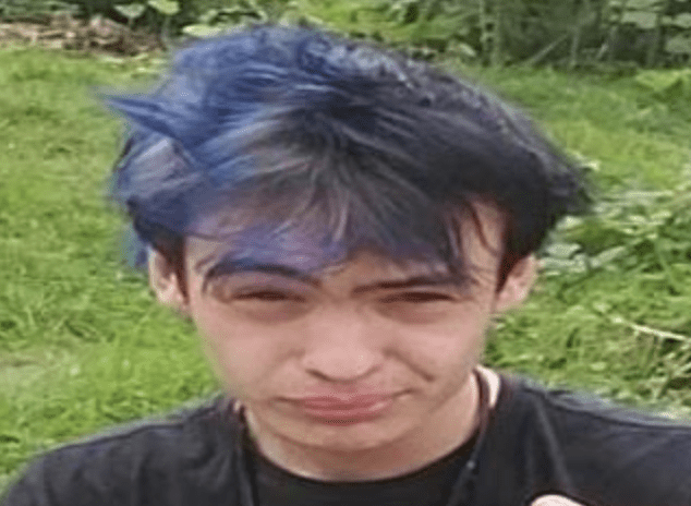 Dashcam Footage Sought - Missing Maidstone Teenager