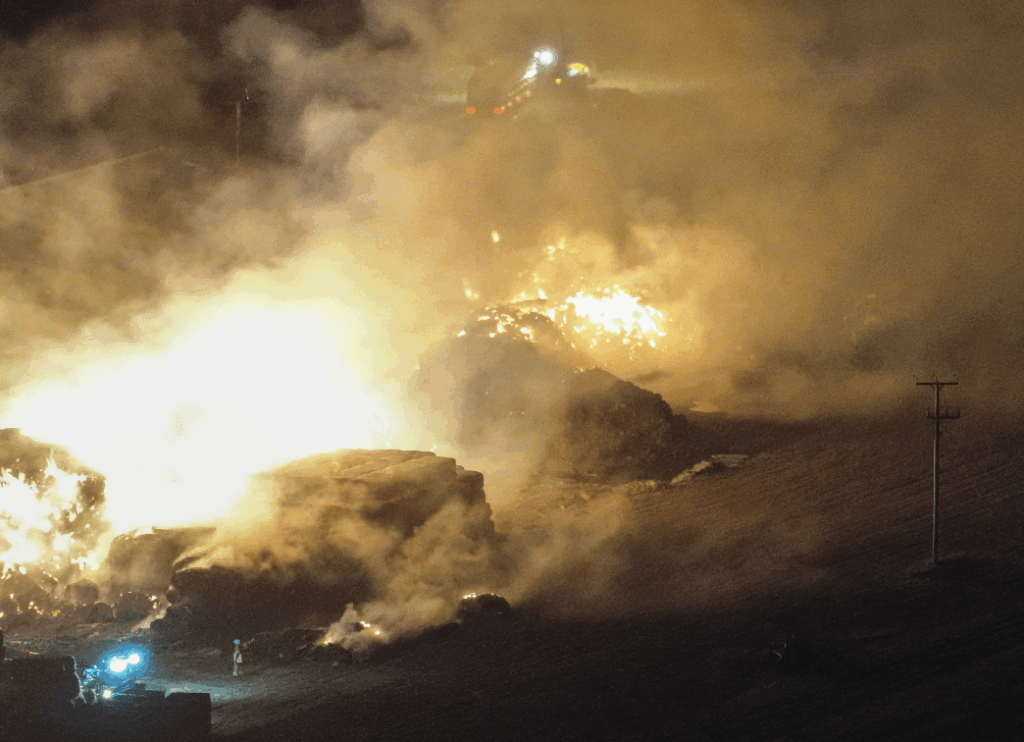 Firefighters Brave Blaze To Rescue 1500 Cattle On Kent Farm
