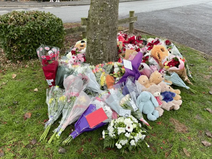 Three boys aged 11, 10 and 8 confirmed dead after falling through ice in Solihull with six-year-old in critical condition in Hospital â€“ (…