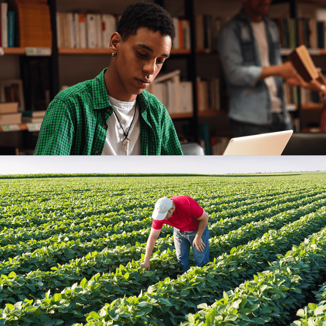 Foreign Secretary Announces Uk Action For Inclusive International Financial System At Un General Assembly, Changes To Student Financial System, Farmers Write To Food Industry