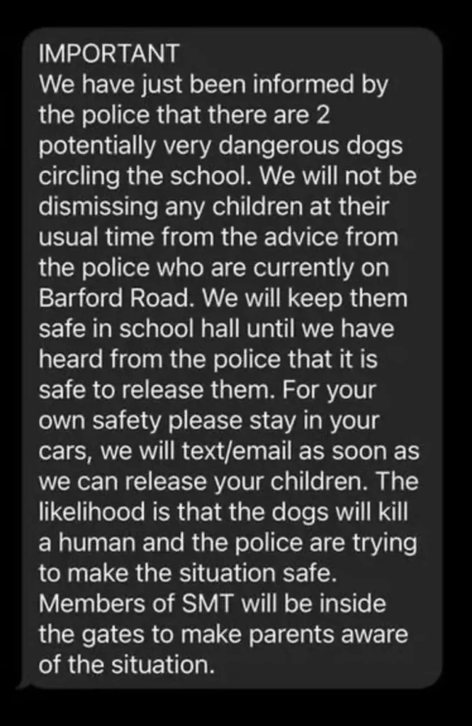 Barford Primary School, Winson Green was put into lockdown around 2.30 this afternoon as six people injured and two dogs seized