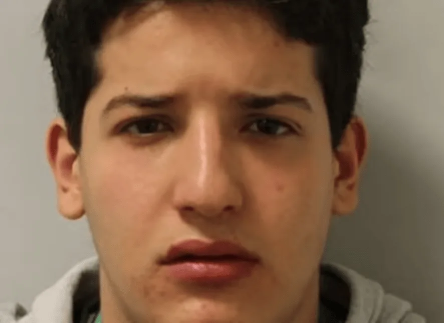 A man who carried out three unprovoked knife attacks in six days, killing one man and injuring two others, has been sentenced to life imp…