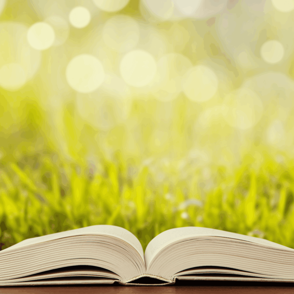 Memorial Book Open For Pregnancy And Baby Loss Prior To 24 Weeks In Scotland