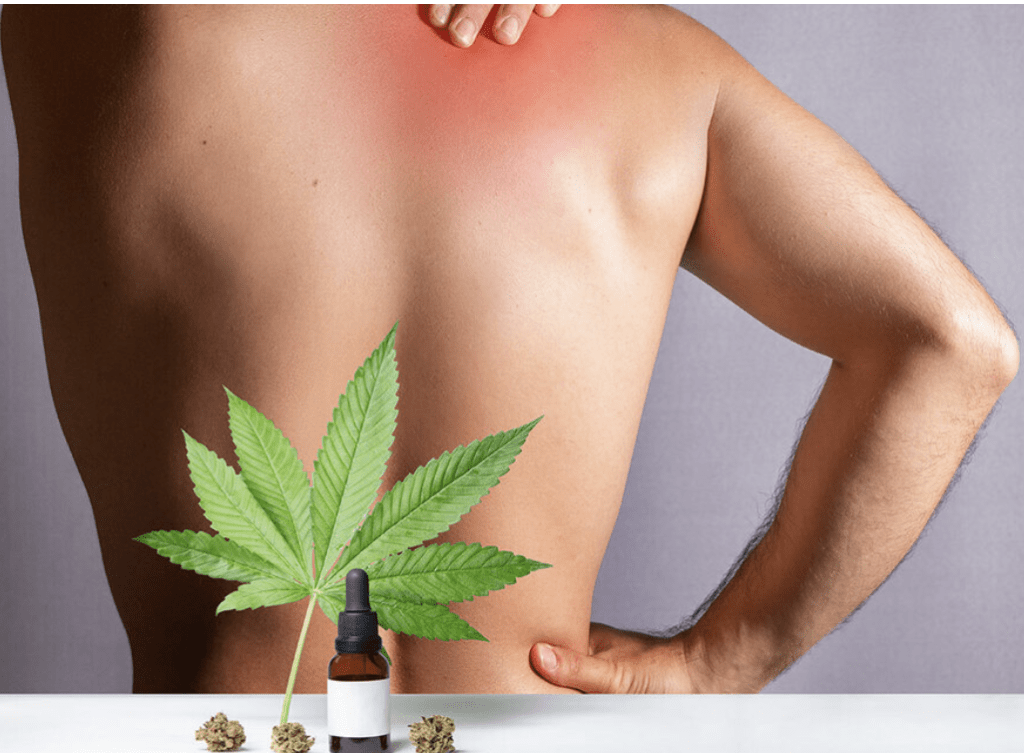 Does Cbd Help With Arthritis Pain?
