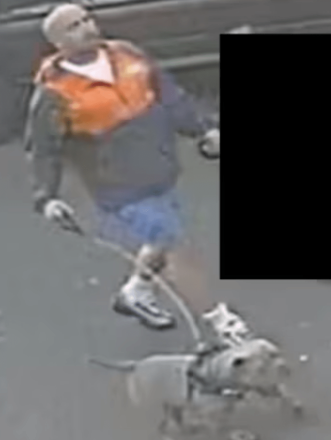 Police Seek Man After Woman Allegedly Bitten By Dog In Gateshead