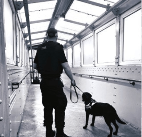 Twenty-four Arrests During Knife Crime Crackdown