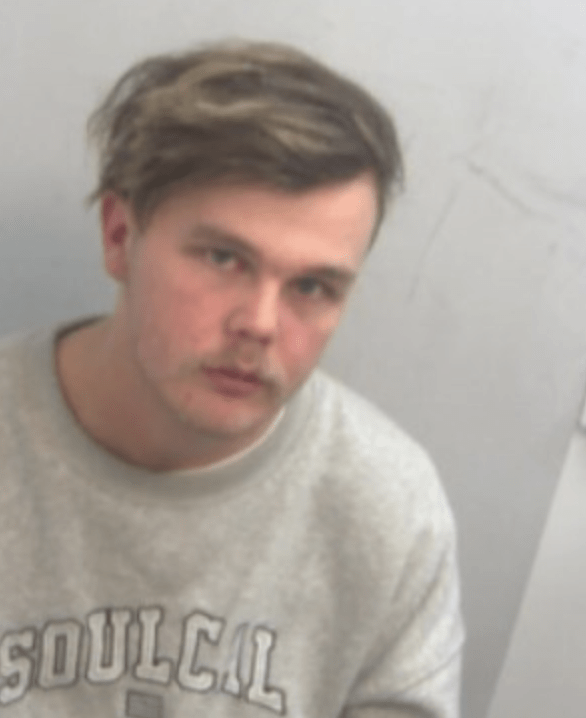 Essex paedophile Luke Tucker Convicted of Child Grooming