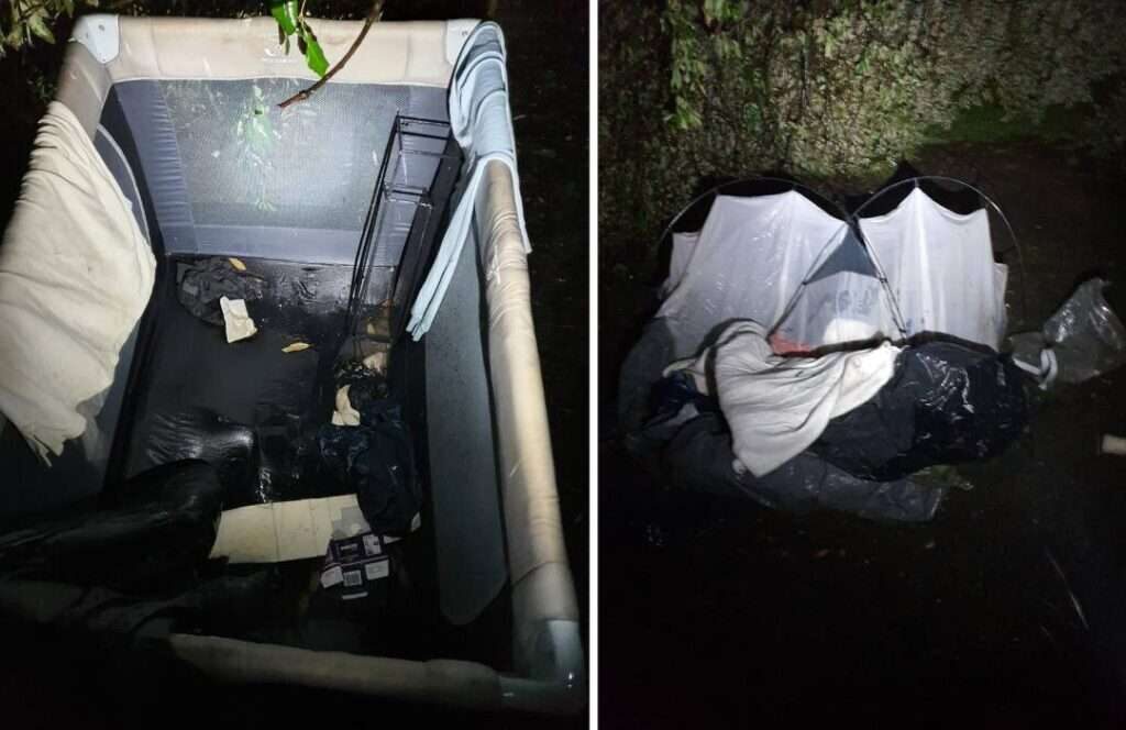 Urgent Search Continues for Missing Family in Brighton’s Queens Park