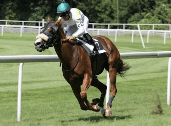 King George Chase 2023: The Race for Royalty