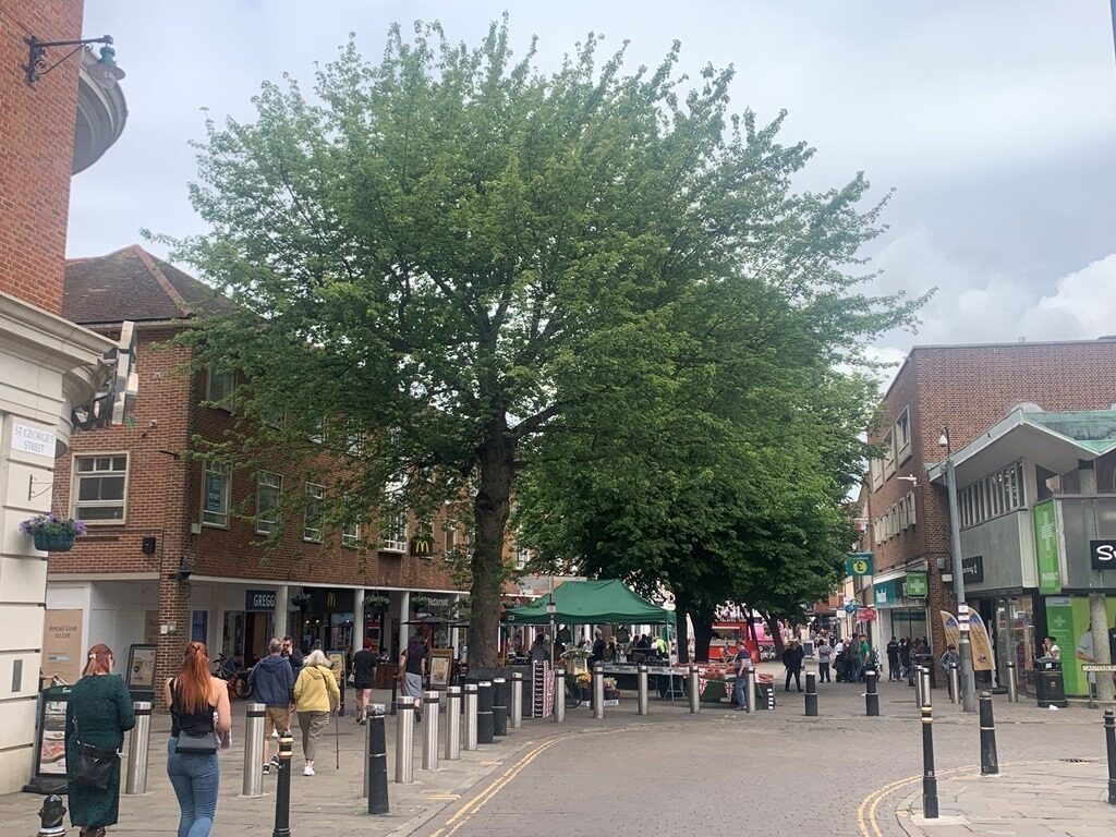 Detectives are appealing for witnesses after a man was seriously injured in an early morning assault in Canterbury