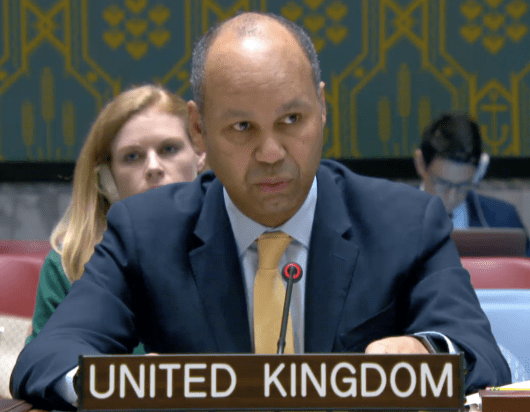 United Kingdom Emphasizes Stability, Climate Action, and Democratic Processes in Central African Region
