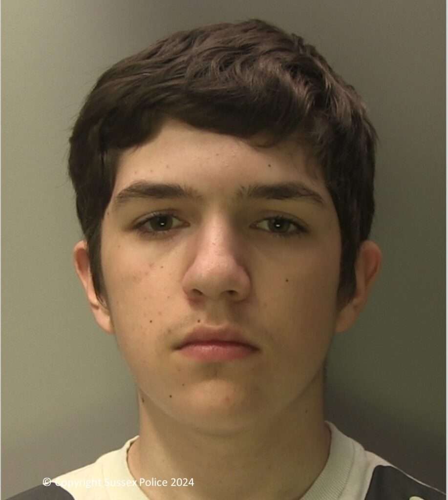 Teenager Thomas Waeling sentenced to 16 years for attempted murder in Hastings, community left shocked