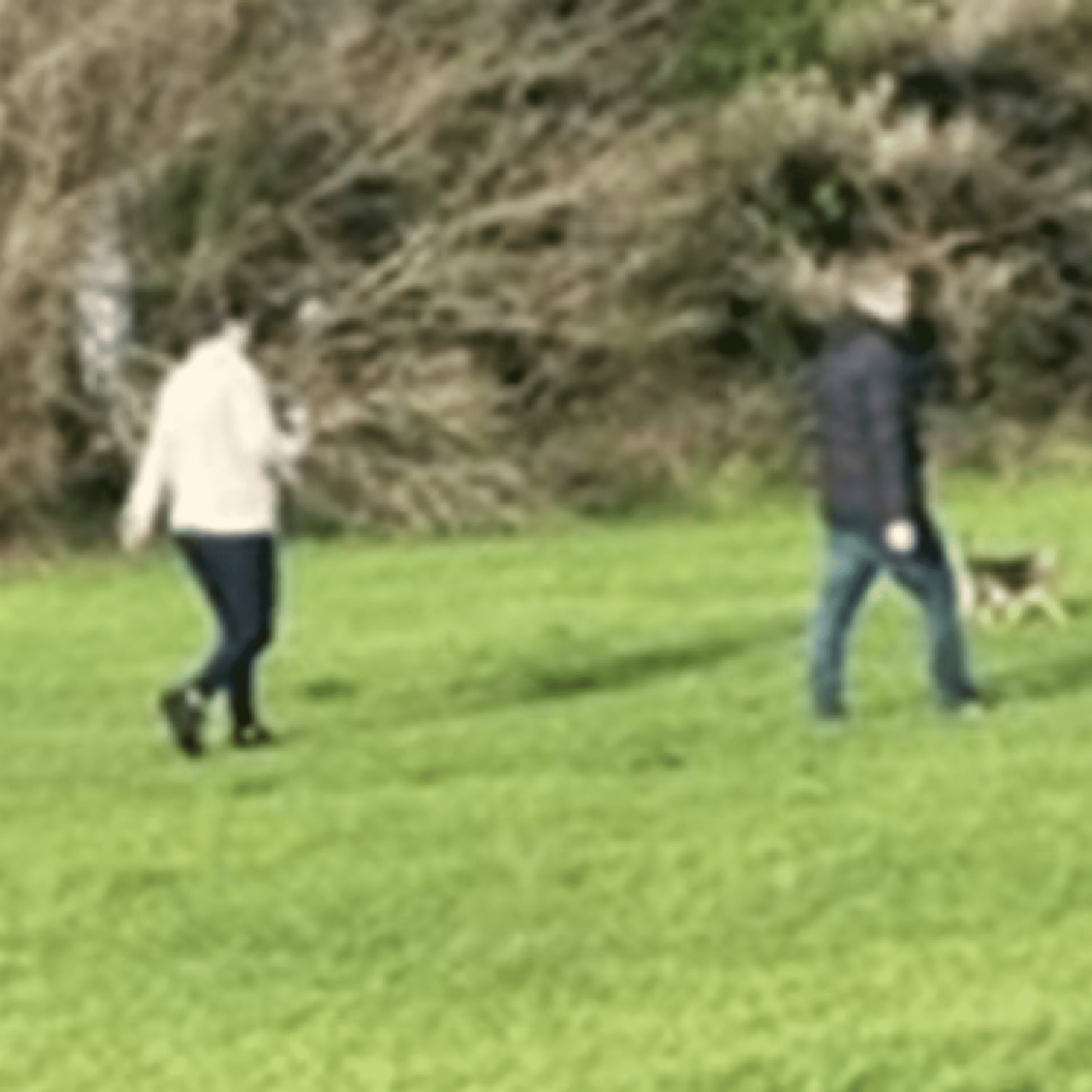 Police Appeal: Dog Walker Injured in Poole