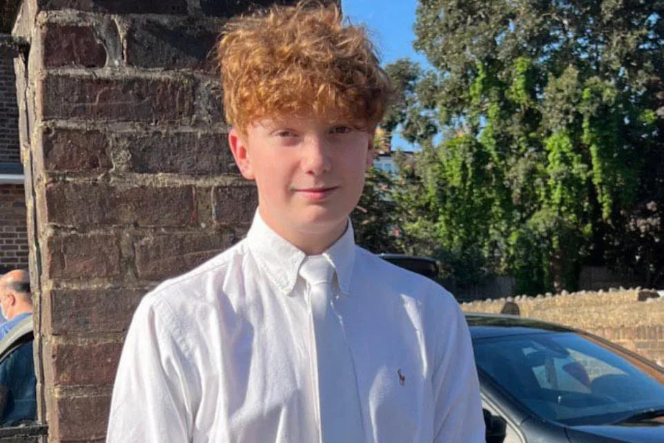 16-Year-Old Arrested in New Yearâ€™s Eve Murder Case Released on Bail