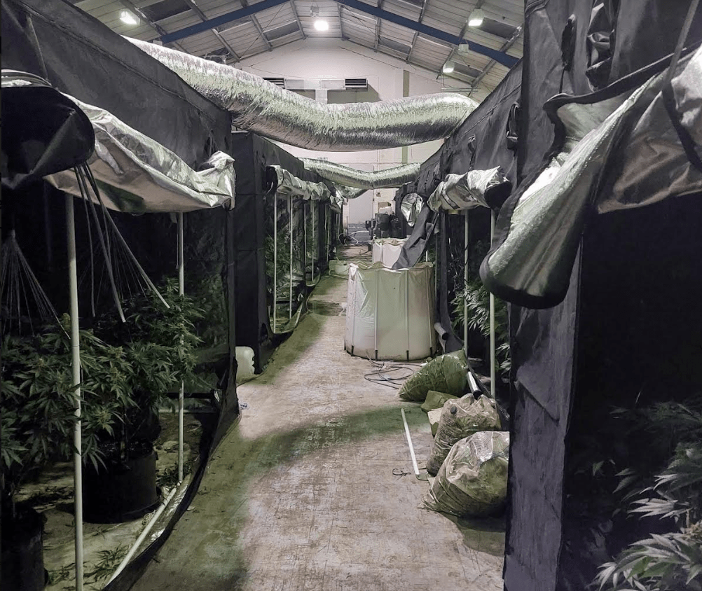 Officers have removed a cannabis production site from an industrial estate in Dover