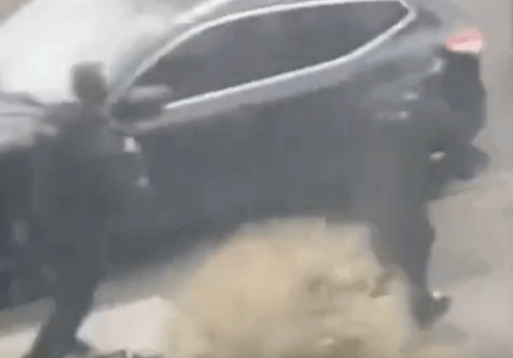 Armed Police Destroy Dangerous Dog in Greenford after it killed another dog