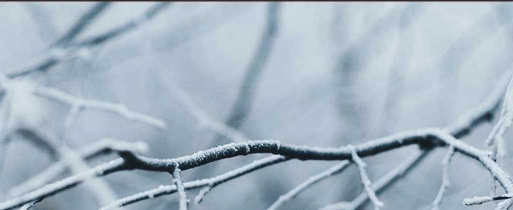 Cold Snap Set to Continue: UK Braces for Chilly Week Ahead with Wintry Hazards on the Horizon