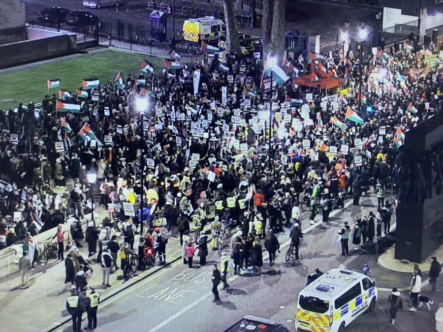 Police Close Horseguard Static Protest on Whitehall