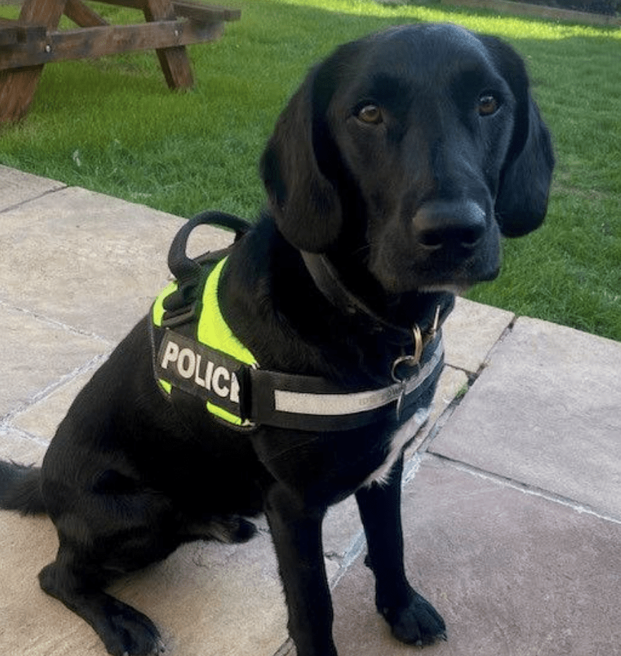 A Football Banning Order has been imposed on a drug user caught with cocaine before a Gillingham FC match