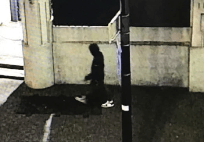 BREAKING NEWS: MI5 Camera Network Captures Britain’s Most Wanted Suspect Abdul Shokoor Ezedi heading towards Westminster