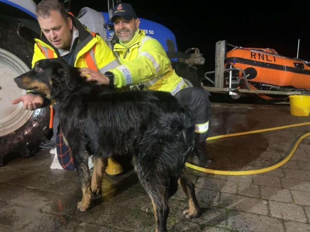 Littlehampton Coastguard & RNLI Team Up for Dramatic Dog Rescue