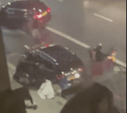 An XL Bully was fatally shot by police after it launched a violent attack on four individuals near Battersea Park Road in South London