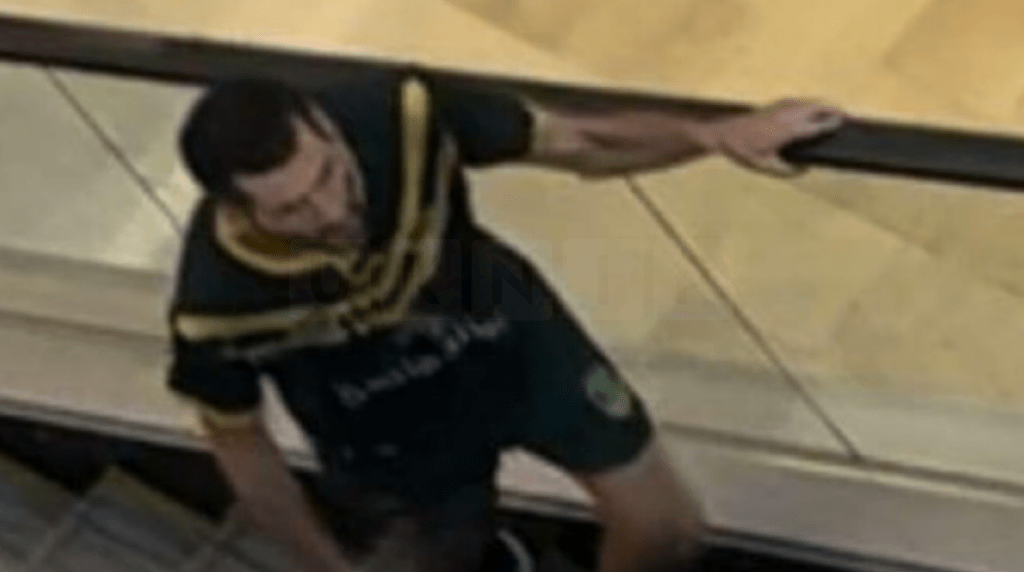 Fatal Knife Attack at Westfield Bondi Junction Shopping Centre Leaves Five Dead