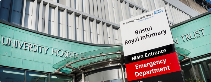 Toddler in Critical Condition After Dog Attack in Cheltenham