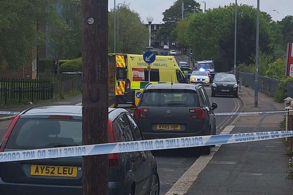 Police Investigate Fatal Collision in Hastings