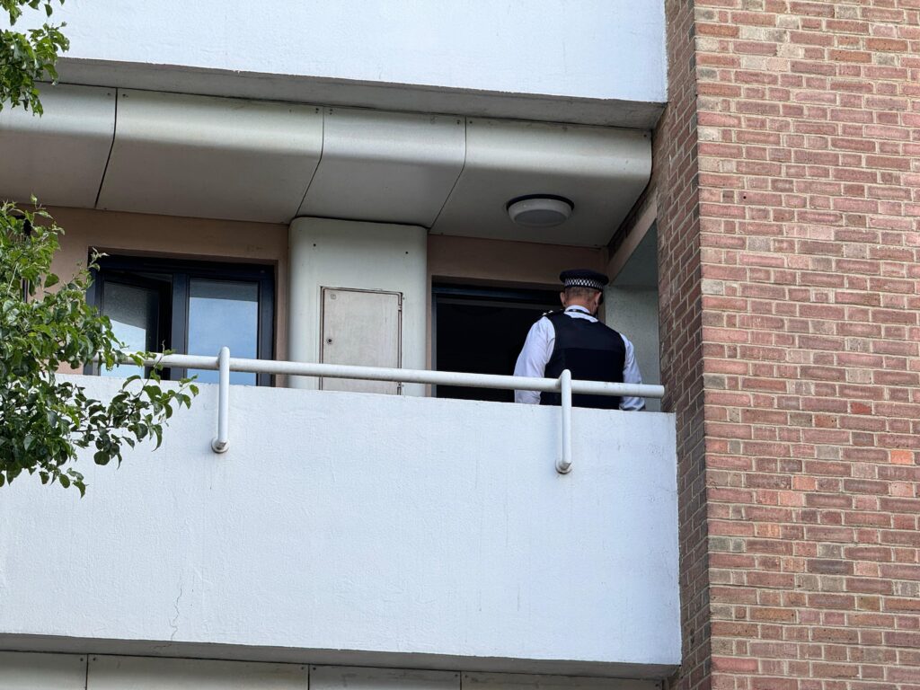 A woman has been arrested on suspicion of murder after police were called to an incident in Tower Hamlets