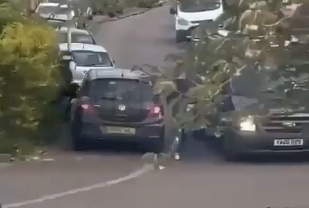 Four Men Arrested for Suspected Attempted Murder Following Abbots Langley Stabbing