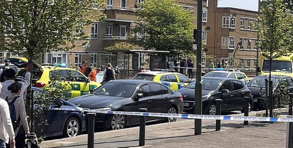 Daylight ‘Robbery’ Horror: Woman in Her 60s Stabbed to Death in North London