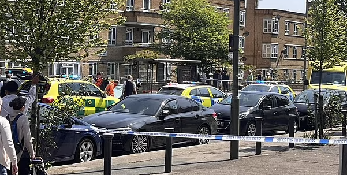 Daylight ‘Robbery’ Horror: Woman in Her 60s Stabbed to Death in North London