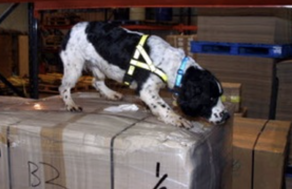 Non-UK Authorised Worming Tablets Seized at East Midlands Airport