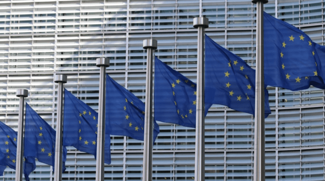 Voters Across 20 EU Countries Begin Electing New Parliament Amid Political Shifts and Rising Concerns