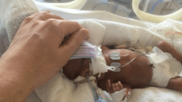 All Roads Lead to Beddington Park: Ickle Pickles’ 28K Incubator Push Challenge