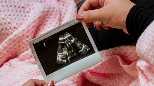 Investigating Nanoparticles: How They Impact Unborn Children and Placental Function