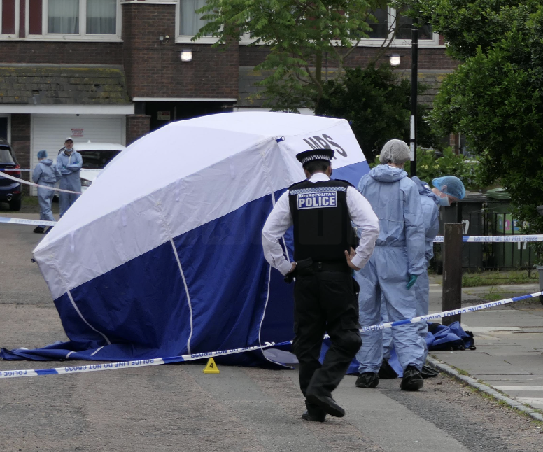 Man Fatally Stabbed in Deptford, Two Arrested on Suspicion of Murder