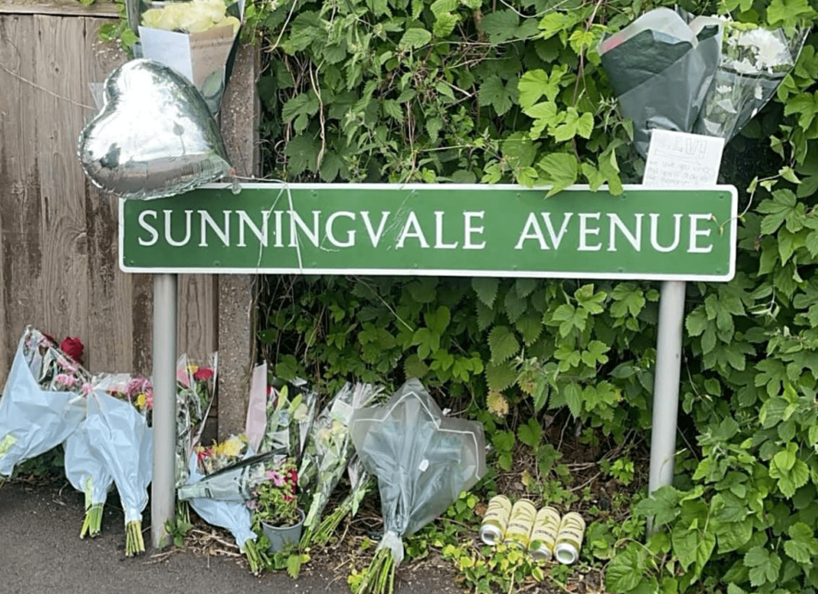 Appeal For Witnesses After Fatal Collision