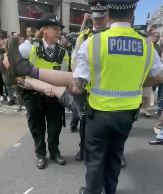 Police Arrest Several Protesters After Oxford Circus Blockade