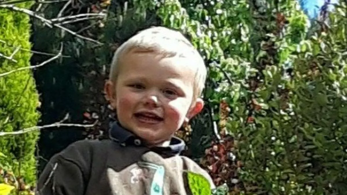 Two Charged in Connection with Tragic Death of Toddler in Dog Attack